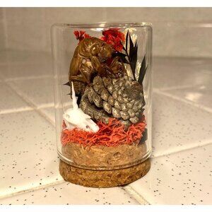 Cicada Skin pinecone Unicorn Skull Nature Art Oddity Jar goth taxidermy floral